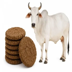 Desi Cow Dung Cakes For Pooja - 250g Gobar Upla