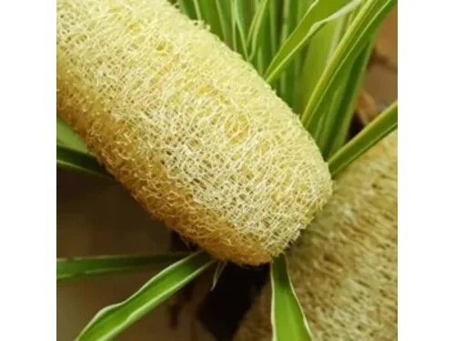 Organic Loofah Sponges