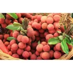 Fresh Baruipur Litchi
