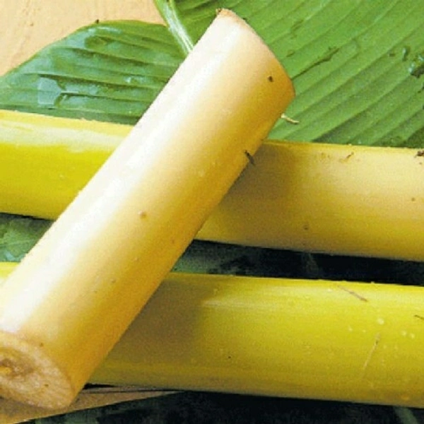 Thor - Banana Stem