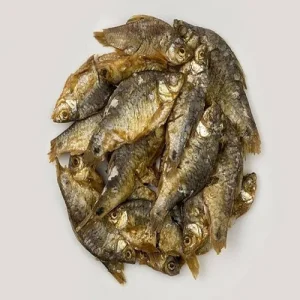 Shidol Shutki: A Unique Fermented Fish Delicacy of Bengal and Assam