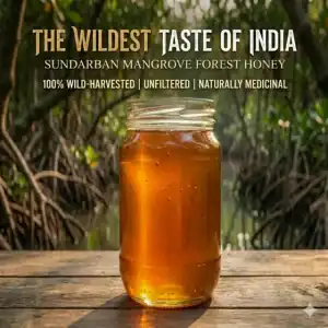 Sundarban Mangrove Forest Honey