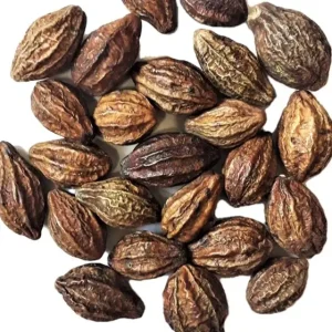 Haritaki / Harad (Terminalia chebula) – Premium Whole Dried Fruits