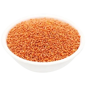 Kolkata Premium Masoor Dal (1kg)