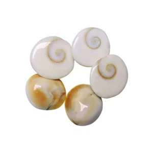 Navi Sankh Original Gomti Chakra | Gomati Chakra, Sudarshan Chakra, Nag Chakra