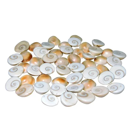 Navi Sankh Original Gomti Chakra | Gomati Chakra, Sudarshan Chakra, Nag Chakra