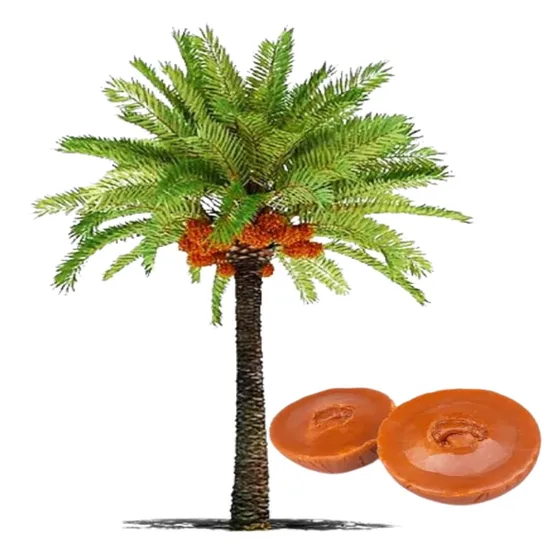 Nolen Patali Khejur Gur – 1kg Date Palm Jaggery