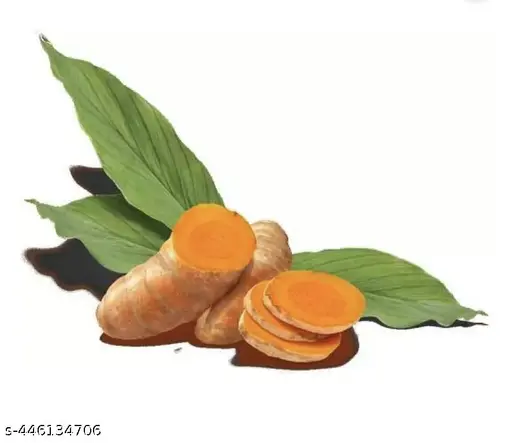 Fresh Baby Kacchi Haldi Raw Turmeric - Natural Immunity Booster, 400 gms