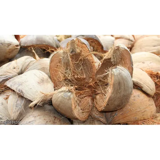 Natural Coconut Husk Coir Fiber Narkel Chobra